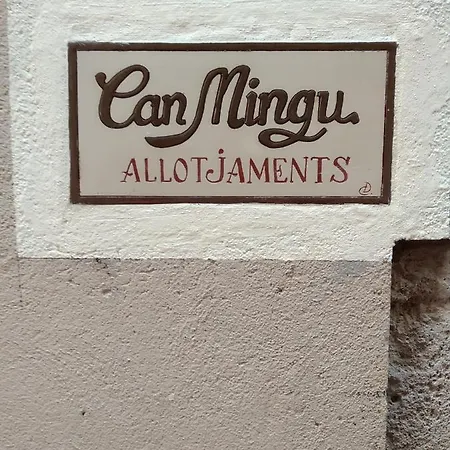 Apartament Can Mingu 1Er Pis Besalu Exterior photo